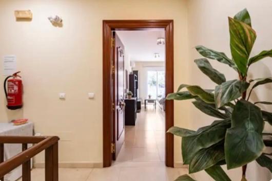 Apartamento En Primera Linea De Playa El Palo Málaga Esterno foto
